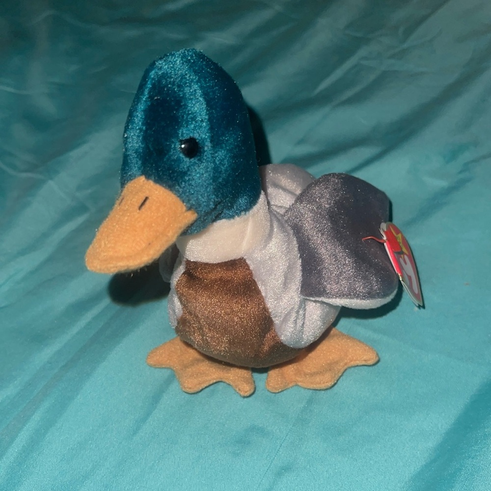 Jake the rare mallard duck